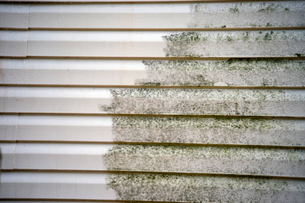 Best Mattress Disposal  in Pascoag, RI